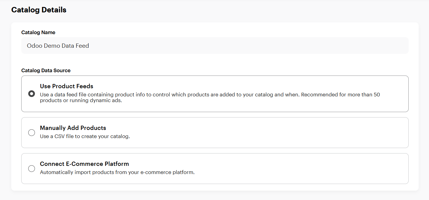 Snapchat Ads Manager Catalog Details